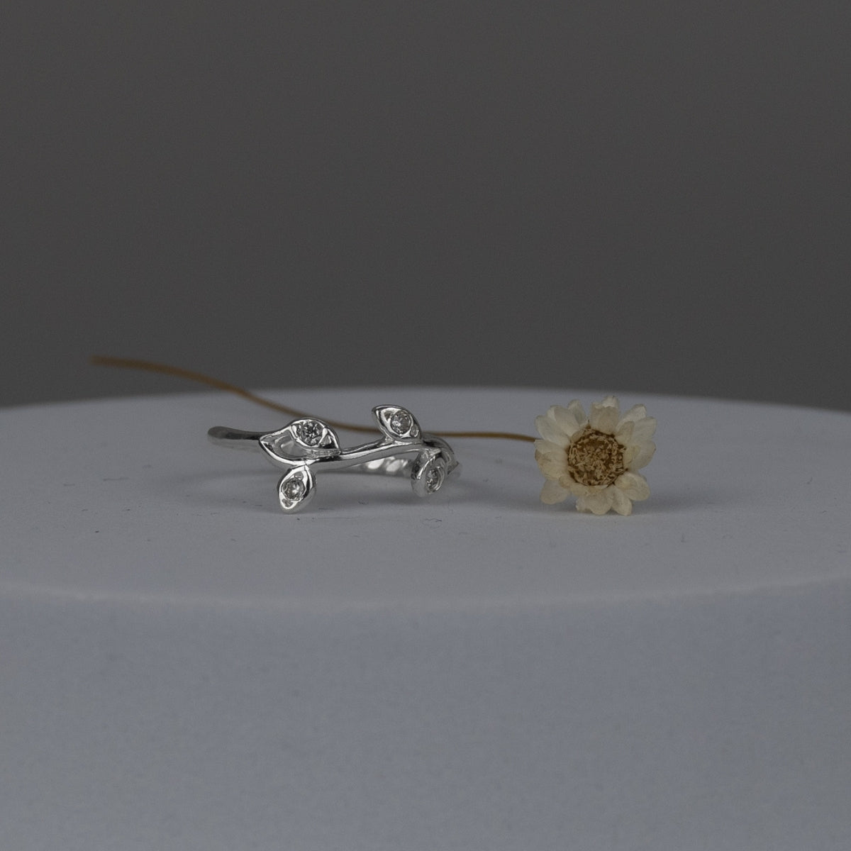 Anel de Prata 925 Ramos Zircônias - Joias Prata Viva