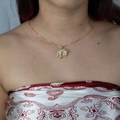 Gargantilha Banhado a Ouro Tigre